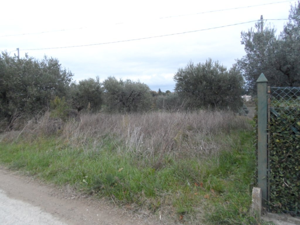 Foto 3 - Building land Zona Piattoni, Castel di Lama - photo 3