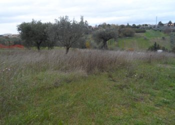 Foto 1 - Terreno edificabile Zona Piattoni, Castel di Lama - foto 1