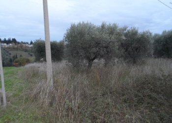 Foto 8 - Terreno edificabile Zona Piattoni, Castel di Lama - foto 8