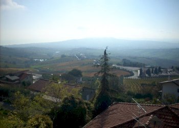 Foto 16 - Casa indipendente Contrada giardino, Colonnella - foto 14