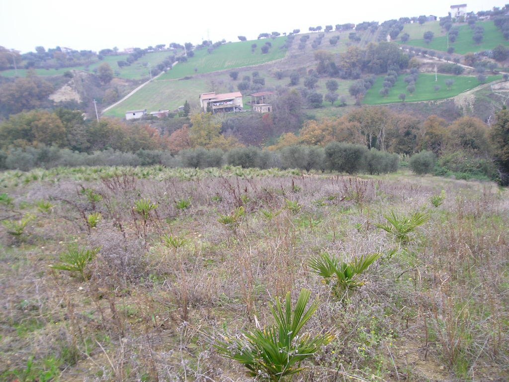 Foto 1 - Independent house Via Cuprense, Grottammare - photo 1