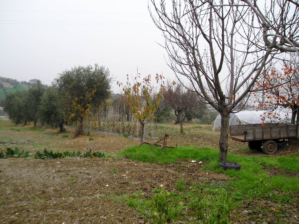 Foto 2 - Independent house Via Cuprense, Grottammare - photo 2