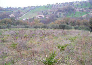 Foto 1 - Casa indipendente Via Cuprense, Grottammare - foto 1