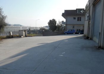 Foto 3 - Capannone Via E. Fermi, Acquaviva Picena - foto 3