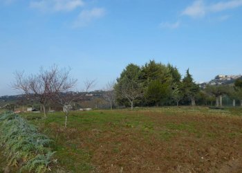 Foto 5 - Terreno edificabile Contrada Rio Moro, Colonnella - foto 5