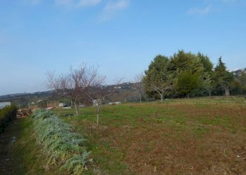 Foto 7 - Terreno edificabile Contrada Rio Moro, Colonnella - foto 7