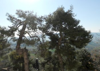 Foto 14 - Casa indipendente Via Borgo Da Mare, Monteprandone - foto 14