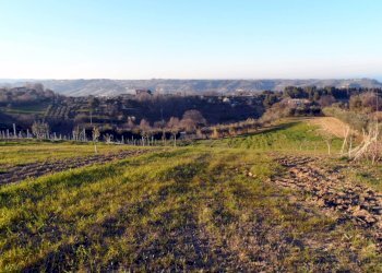 Foto 1 - Terreno agricolo Contrada Santa Lucia
134, San Benedetto del Tronto - foto 1