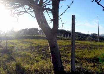 Foto 6 - Terreno agricolo Contrada Santa Lucia
134, San Benedetto del Tronto - foto 6