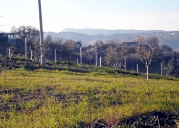 Foto 7 - Terreno agricolo Contrada Santa Lucia
134, San Benedetto del Tronto - foto 7