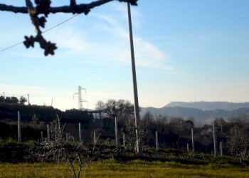 Foto 8 - Terreno agricolo Contrada Santa Lucia
134, San Benedetto del Tronto - foto 8