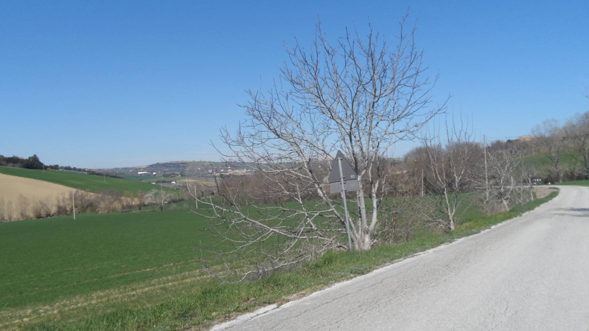 Foto 1 - Terreno agricolo Contrada Camera di Torre, Fermo - foto 1