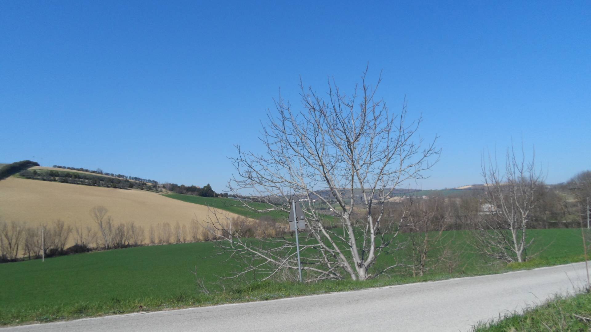Foto 2 - Terreno agricolo Contrada Camera di Torre, Fermo - foto 2