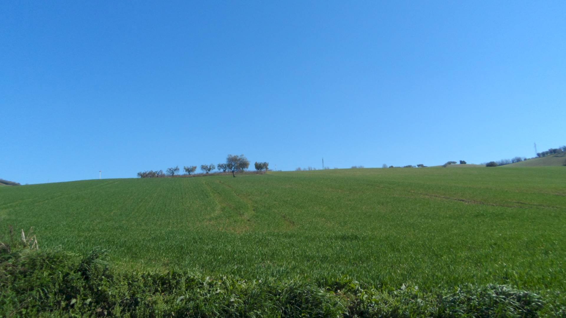 Foto 3 - Terreno agricolo Contrada Camera di Torre, Fermo - foto 3