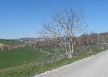 Foto 1 - Terreno agricolo Contrada Camera di Torre, Fermo - foto 1