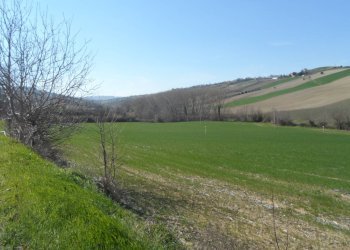 Foto 5 - Terreno agricolo Contrada Camera di Torre, Fermo - foto 5
