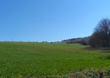 Foto 9 - Terreno agricolo Contrada Camera di Torre, Fermo - foto 9