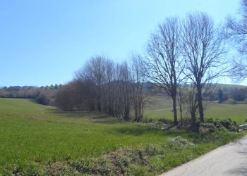Foto 11 - Terreno agricolo Contrada Camera di Torre, Fermo - foto 11