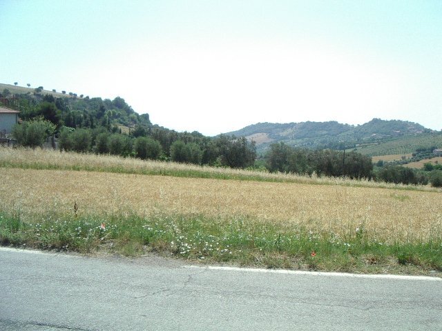 Foto 3 - Terreno edificabile Contrada San Martino, Colonnella - foto 3