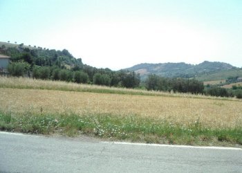 Foto 3 - Terreno edificabile Contrada San Martino, Colonnella - foto 3