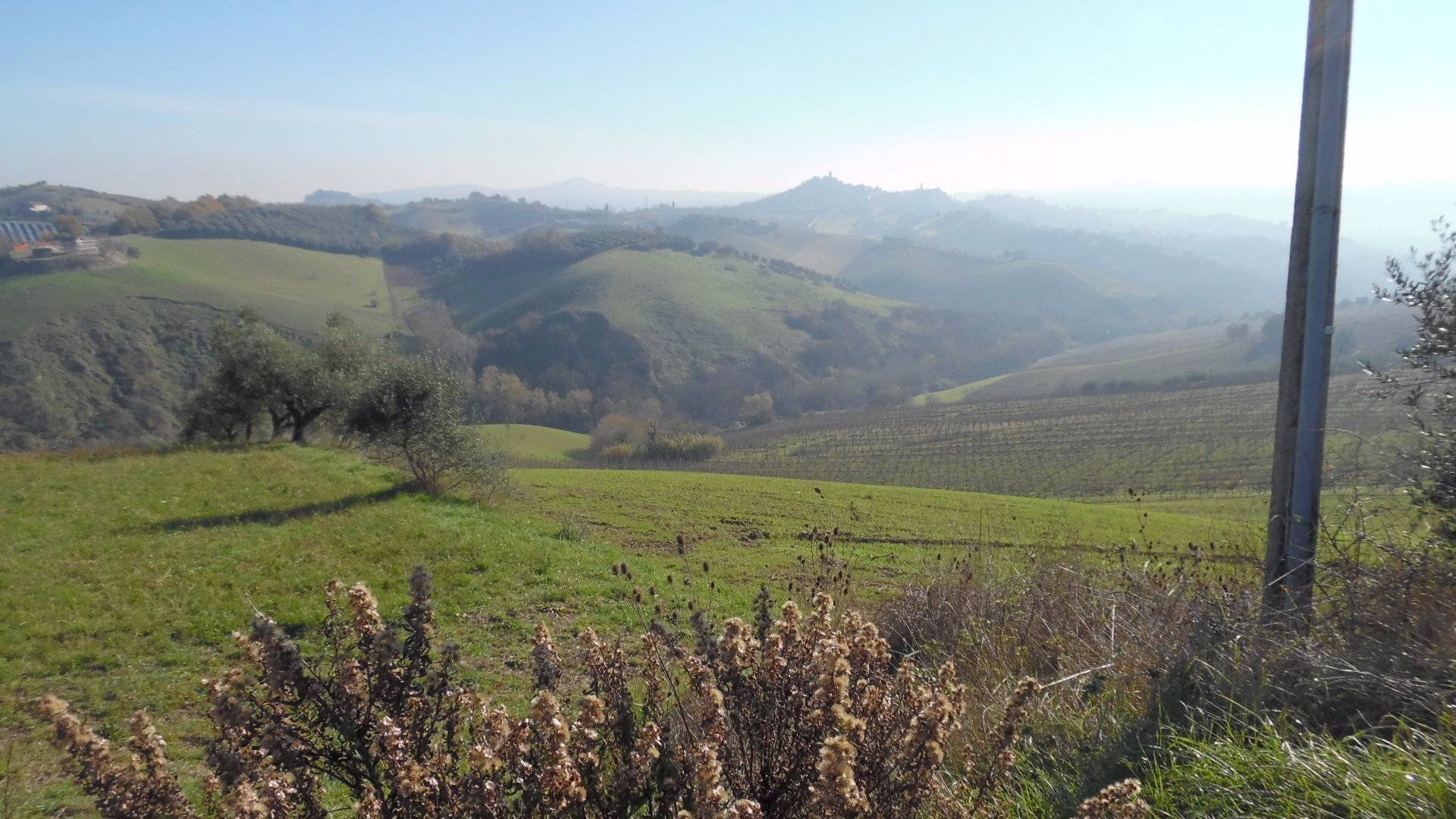 Foto 1 - Terreno agricolo Contrada Collelungo, Monsampolo del Tronto - foto 1