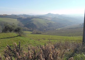 Foto 1 - Terreno agricolo Contrada Collelungo, Monsampolo del Tronto - foto 1