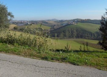 Foto 7 - Terreno agricolo Contrada Collelungo, Monsampolo del Tronto - foto 7