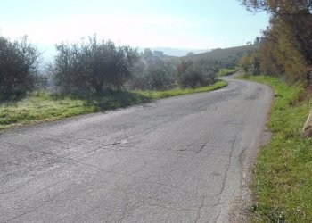 Foto 11 - Terreno agricolo Contrada Collelungo, Monsampolo del Tronto - foto 10