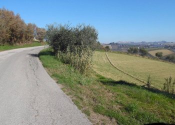 Foto 14 - Terreno agricolo Contrada Collelungo, Monsampolo del Tronto - foto 13