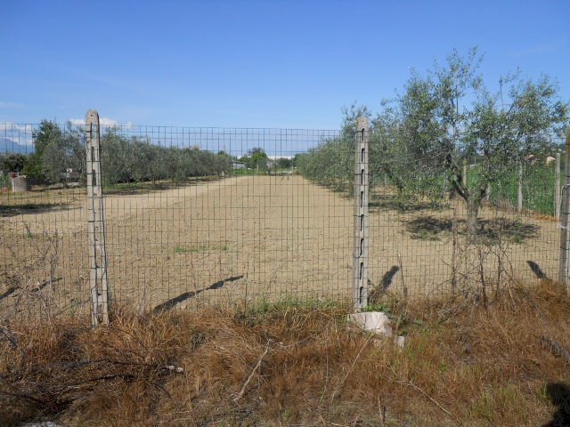 Foto 2 - Terreno edificabile Via dell'industria, Monteprandone - foto 2