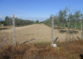 Foto 2 - Terreno edificabile Via dell'industria, Monteprandone - foto 2