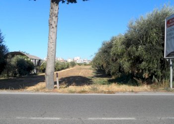 Foto 2 - Terreno edificabile Strada Statale Adriatica, Alba Adriatica - foto 2