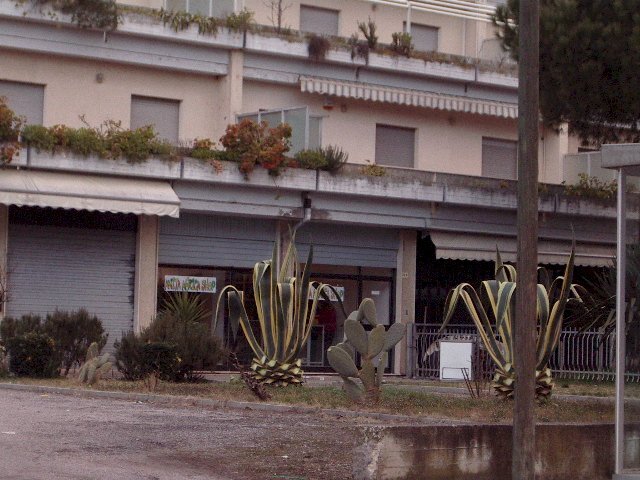 Foto 1 - Locale Commerciale Via Taormina, Martinsicuro - foto 1