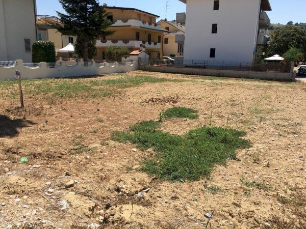 Foto 3 - Terreno edificabile Via San Francesco, Tortoreto - foto 3