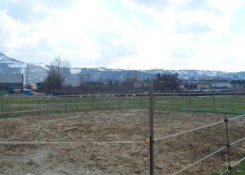 Foto 3 - Terreno edificabile Via del'industria, Monteprandone - foto 3