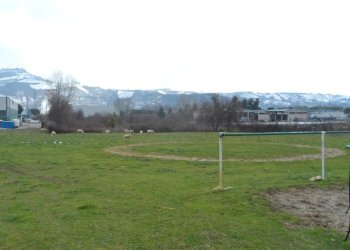 Foto 4 - Terreno edificabile Via del'industria, Monteprandone - foto 4