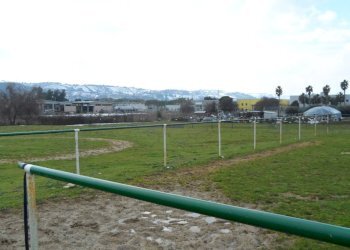 Foto 6 - Terreno edificabile Via del'industria, Monteprandone - foto 6