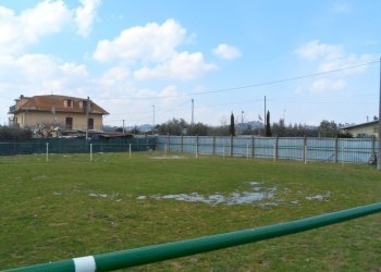 Foto 10 - Terreno edificabile Via del'industria, Monteprandone - foto 10