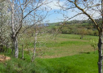 Foto 4 - Terreno agricolo Via Salaria, Spinetoli - foto 4