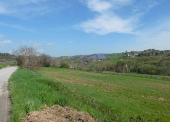 Foto 5 - Terreno agricolo Via Salaria, Spinetoli - foto 5
