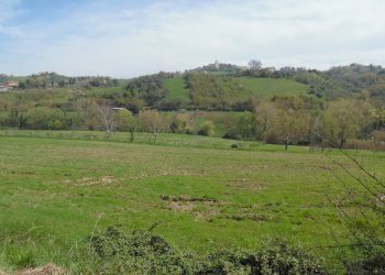 Foto 6 - Terreno agricolo Via Salaria, Spinetoli - foto 6