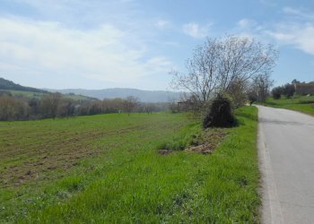 Foto 9 - Terreno agricolo Via Salaria, Spinetoli - foto 9