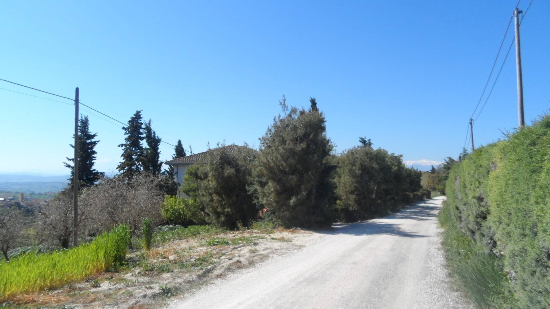 Foto 3 - Terreno edificabile Contrada Lava, Offida - foto 3