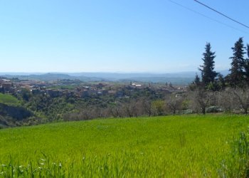 Foto 2 - Terreno edificabile Contrada Lava, Offida - foto 2
