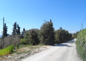 Foto 3 - Terreno edificabile Contrada Lava, Offida - foto 3