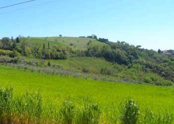 Foto 6 - Terreno edificabile Contrada Lava, Offida - foto 6