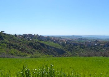 Foto 7 - Terreno edificabile Contrada Lava, Offida - foto 7