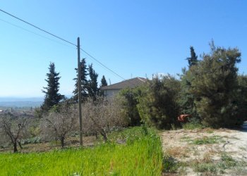 Foto 12 - Terreno edificabile Contrada Lava, Offida - foto 12