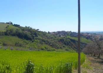 Foto 13 - Terreno edificabile Contrada Lava, Offida - foto 13