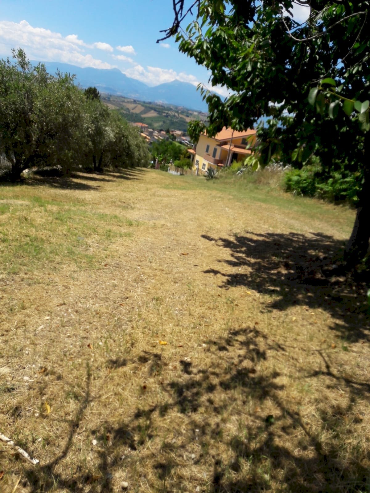 Foto 1 - Building land Via Bonarroti, Colonnella - photo 1